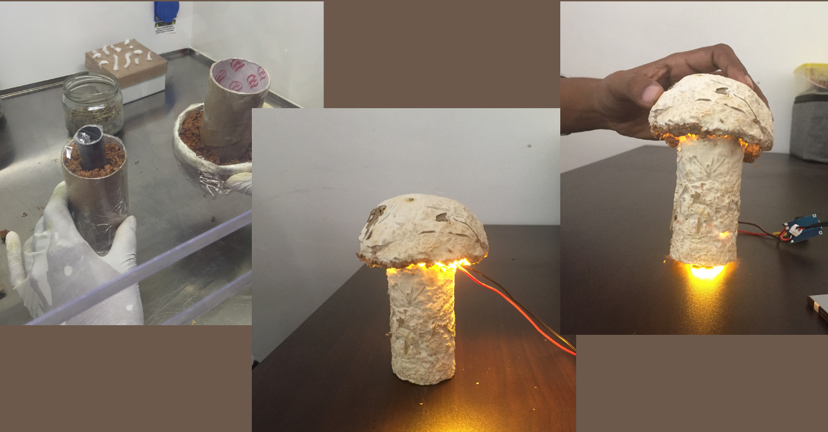 Mushroom-Mushroom: Mycelium Material-Based Lamp Construction